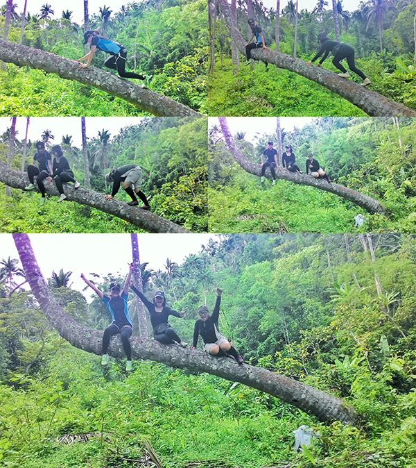 Climbing a tree along the trail