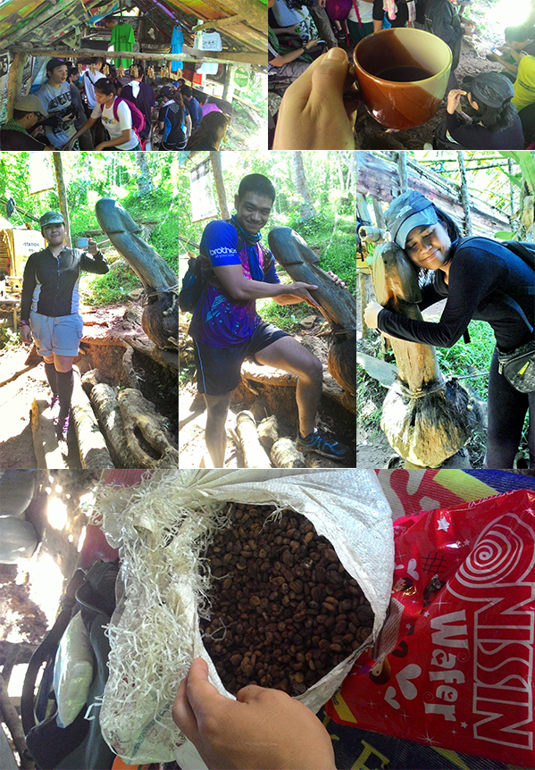 Mang Pirying's Place, Free Coffee, A fertility symbol, and the raw coffee beans