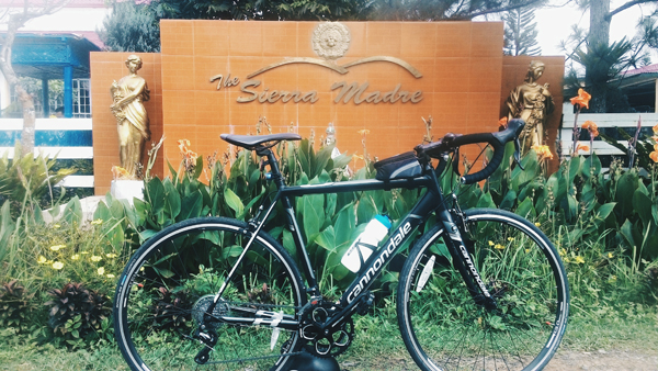 By this point I was already on the verge of giving up