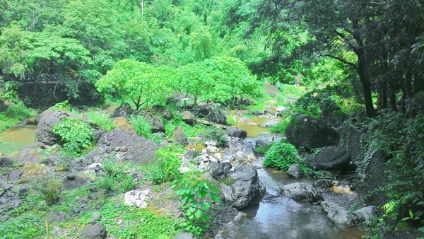 The river that the bridge crosses