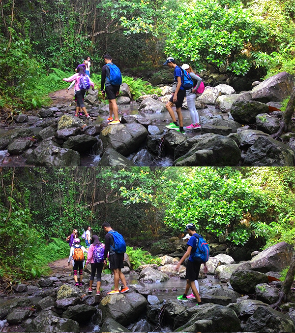 The trail starts with a brook crossing
