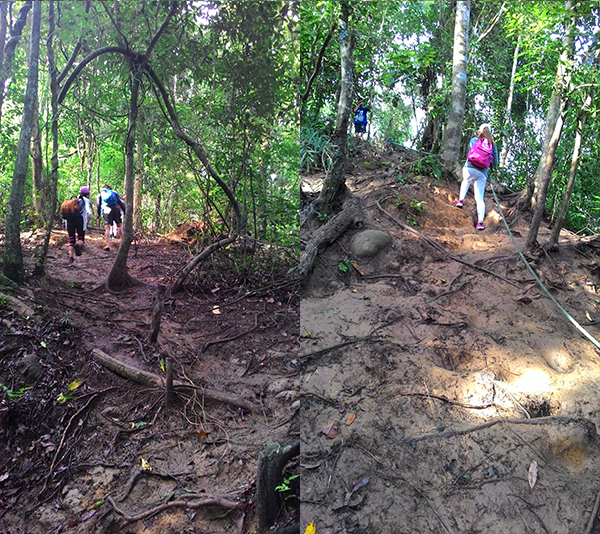 After the brook, it was a steady ascent up muddy slopes