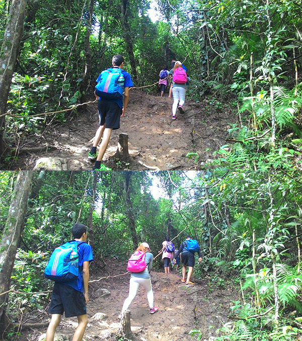 There were a couple of parts with ropes and vines