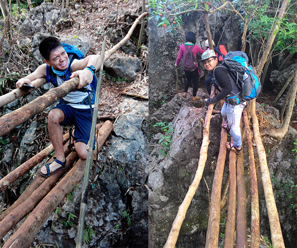 Bamboo bridge