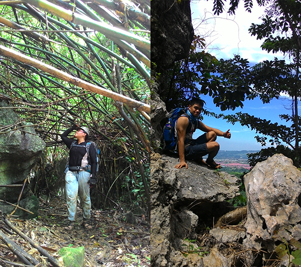 Some views along the way to the summit