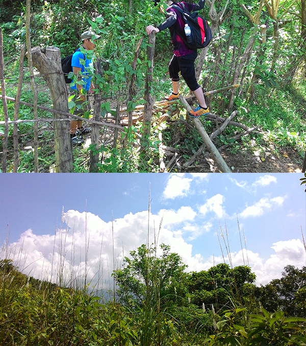 Past the tower is a barbed wire fence about 30 minutes from the summit