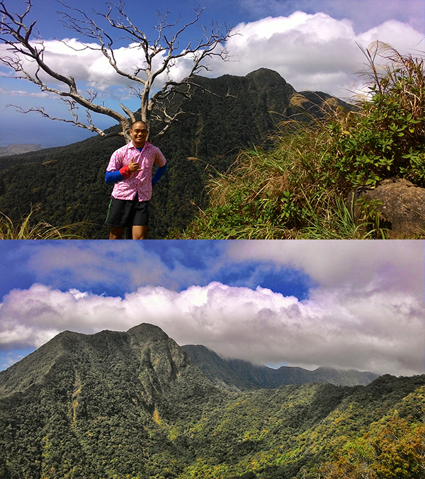 The world tree and the other Mariveles peaks tasting the clouds