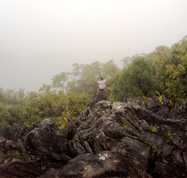 Waiting for the fog to clear