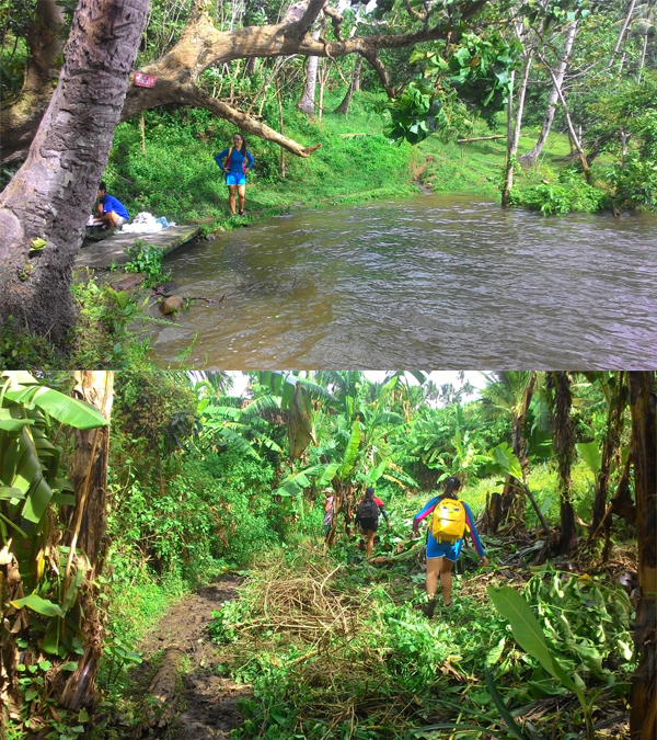 The trail is used by horses, cows, dogs, and pigs, aside from the hikers and locals