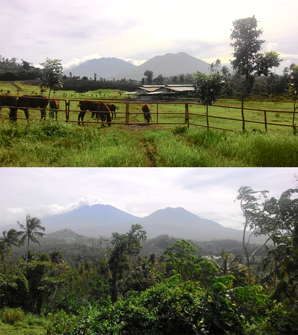 The constant view of the mountains Cristobal and Banahaw were my inspiration to keep going