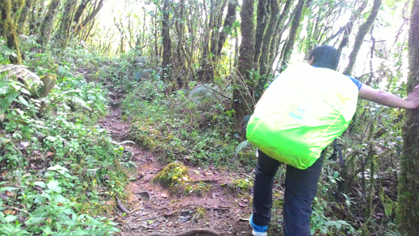 The mossy forest assault that my friends said was reminiscent of Mt. Makiling
