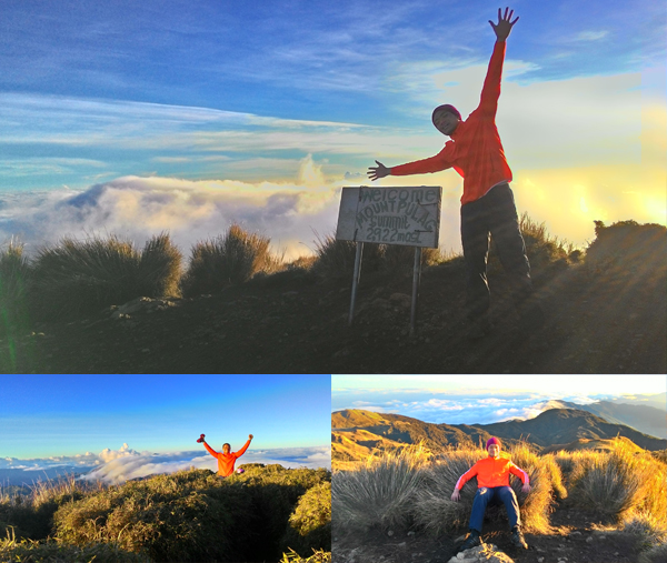 The summit