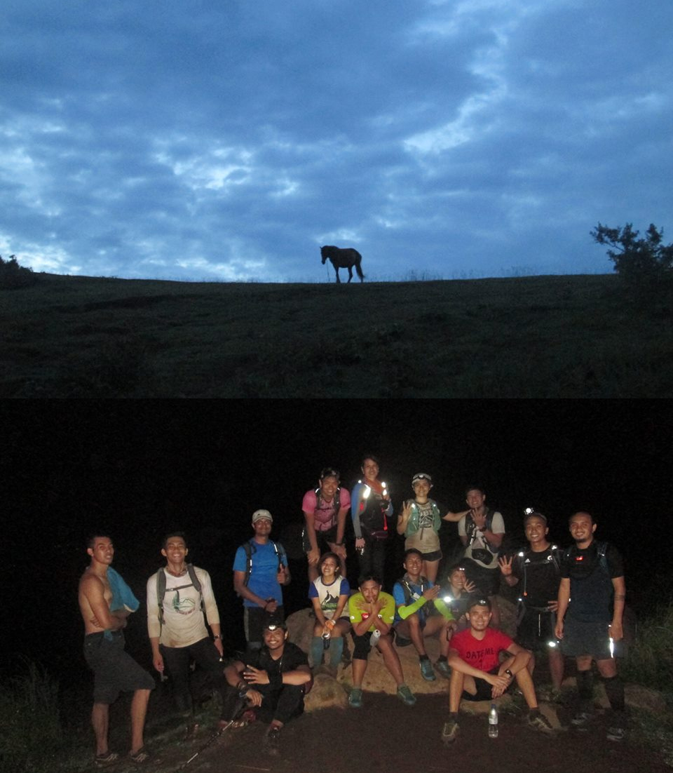 One of the horses against the sunset in Talamitam; the group reachg the summit