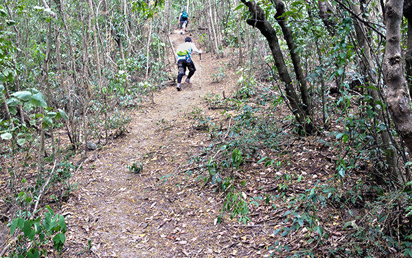 Yup, some of the climbs are quite steep