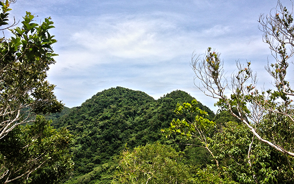 At least the peak seems to be getting nearer, or is it?