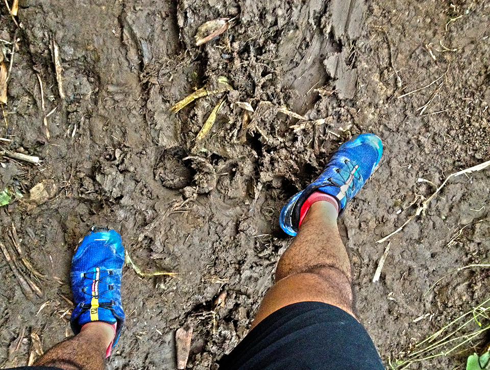 I wonder what this trail looks like in the summer