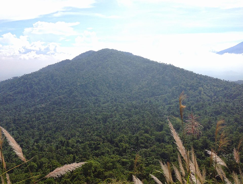 Mt. Atimla as seen from the trail going up Mt. Kalisungan