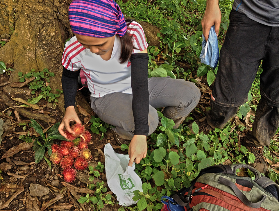 Loading up on Rambutan given by the friendly locals