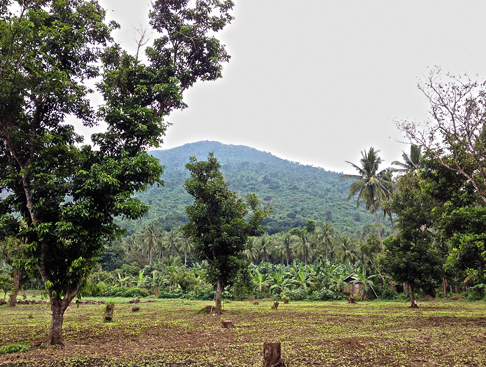 Mt. Prinza from a distance