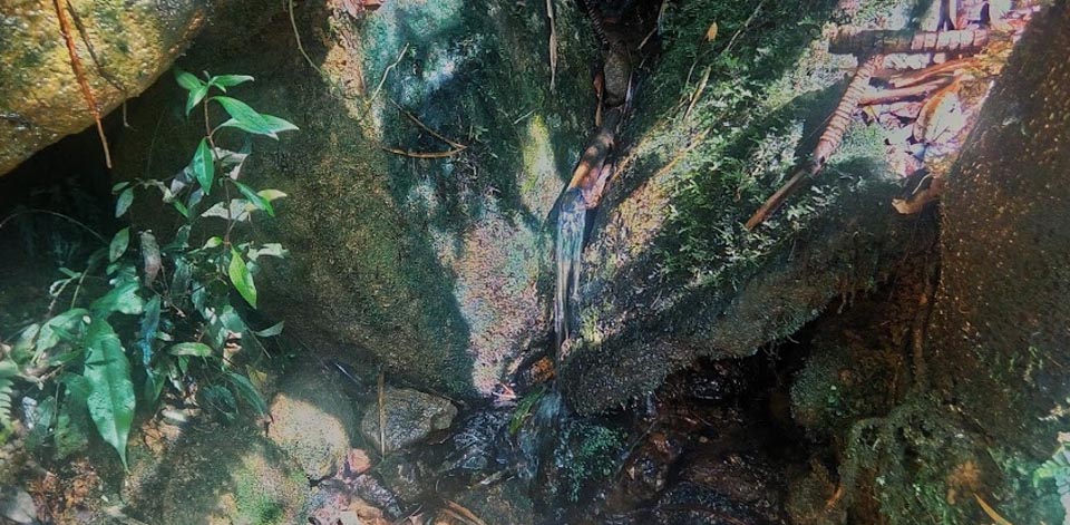 The natural water source at KM6