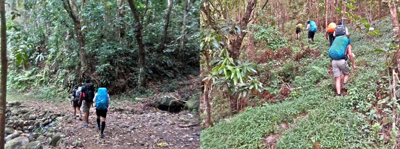 Walking through established trails and slightly tough ascents