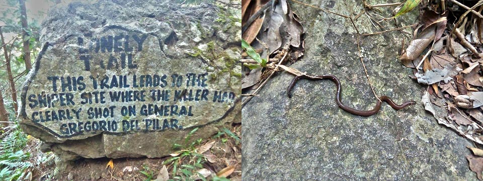 The lonely trail is the trail to the summit and here we found someone joining us on our trek