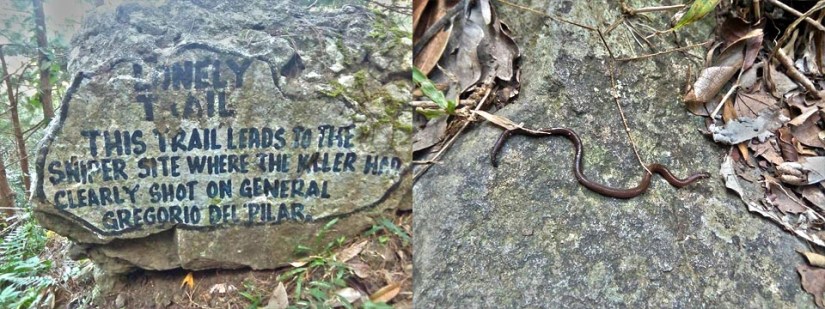 The lonely trail is the trail to the summit and here we found someone joining us on our trek