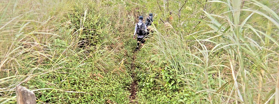 Pushing through lush, forested trails and pine trails