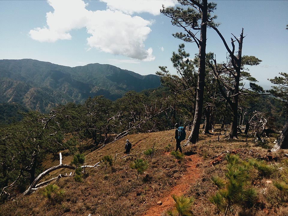 Can't get enough of the beautiful trails